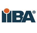 IIBA Dumps Exams